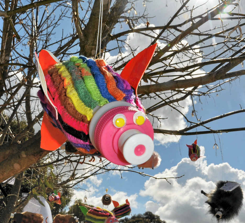 WINNERS: Yangan State School has been named the 2014 school tree jumper winner.
